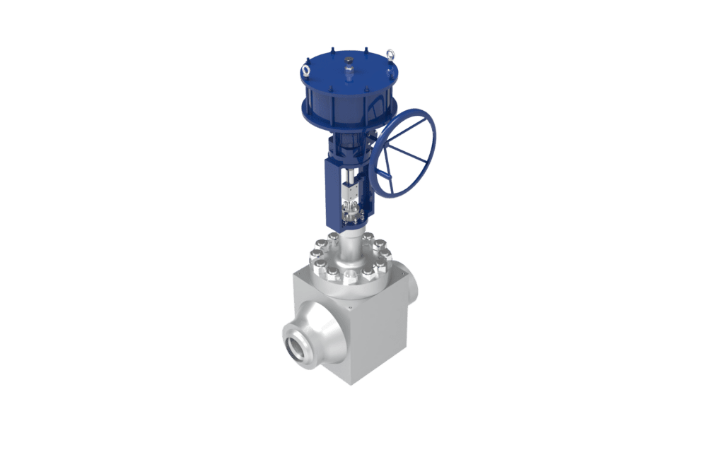 Blakeborough Cage Trim Valves - Perspective View